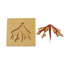 Load image into Gallery viewer, Tree Montessori Puzzle / Jigsaw